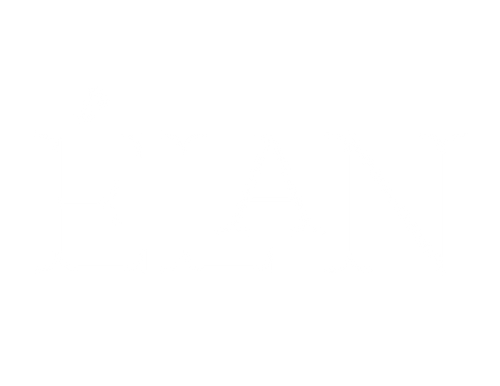 Elan Vital